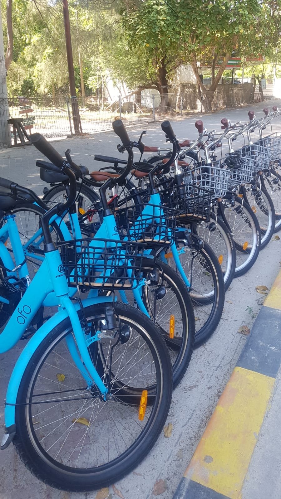 Bike Rental