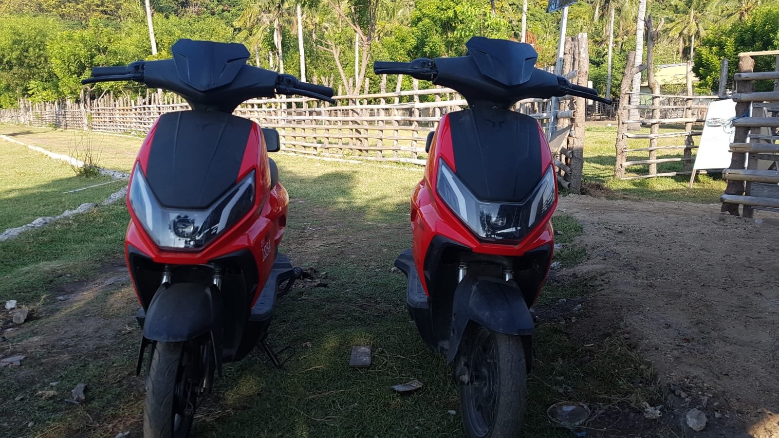 E-Bike Rental